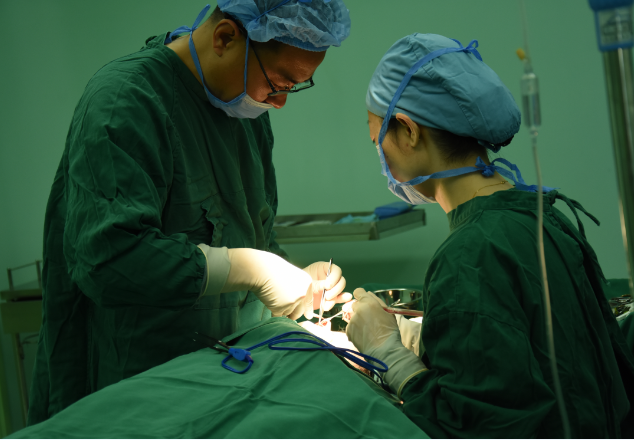 青岛伊美尔杨文国:努力推动我国鼻部整形美容