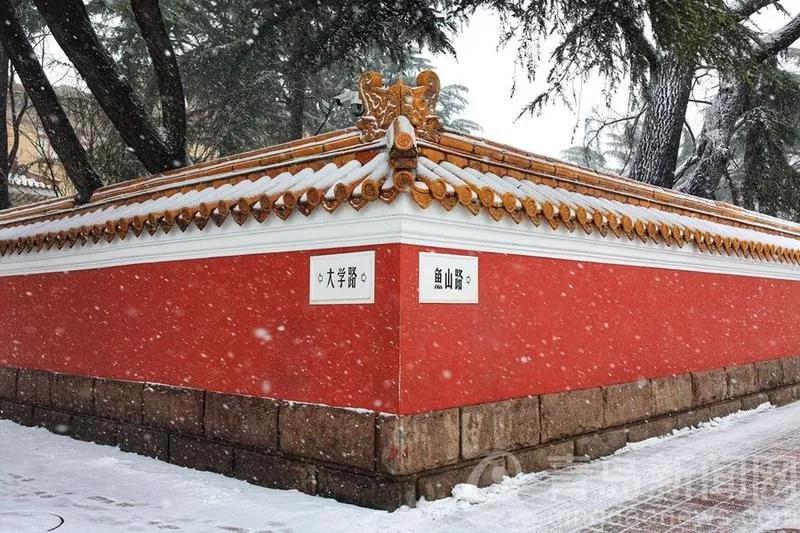 健康新闻 正文  青岛多地开始下雪 青岛的老城区也被雪景映衬的更美