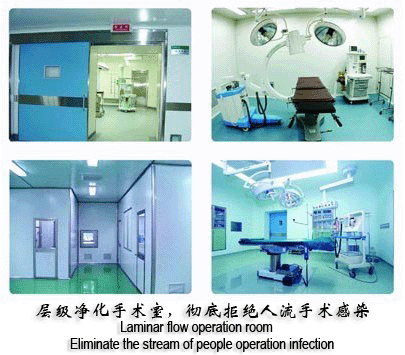 西药,中成药,床位费,诊查费,检查费,护理费,治疗费,输氧费,手术费