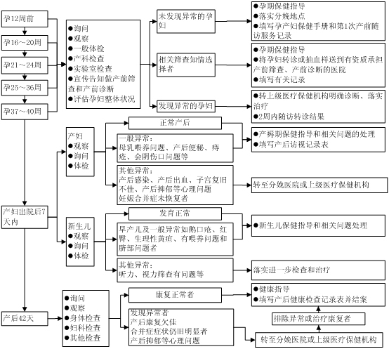 孕检流程图