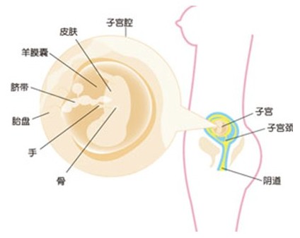 怀孕11周可以做人流吗?