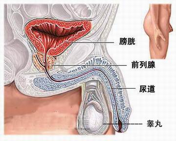 在青岛如何治疗