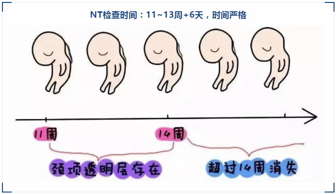a2207db0-77fd-4dba-9c7f-962d0fc52529.png